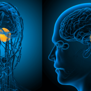 Brainspotting - Process and Trauma Treatment
