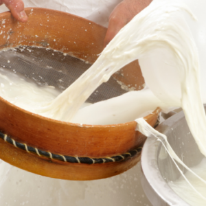 Cheese Making