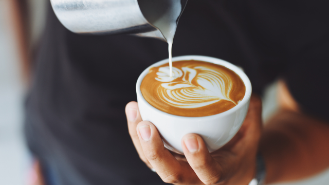 Coffee Training