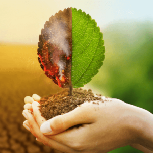 Environmental Impact Assessment