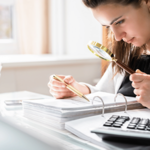Financial Investigator