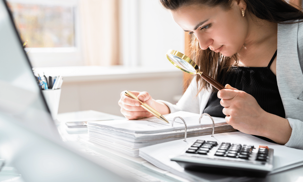 Financial Investigator