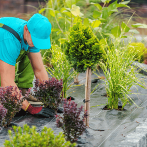 Gardening - Garden Design