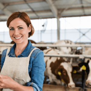Livestock Management