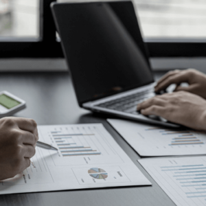 Product Management for Maximum Sales