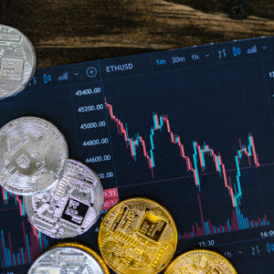 Stock and Bond Investment